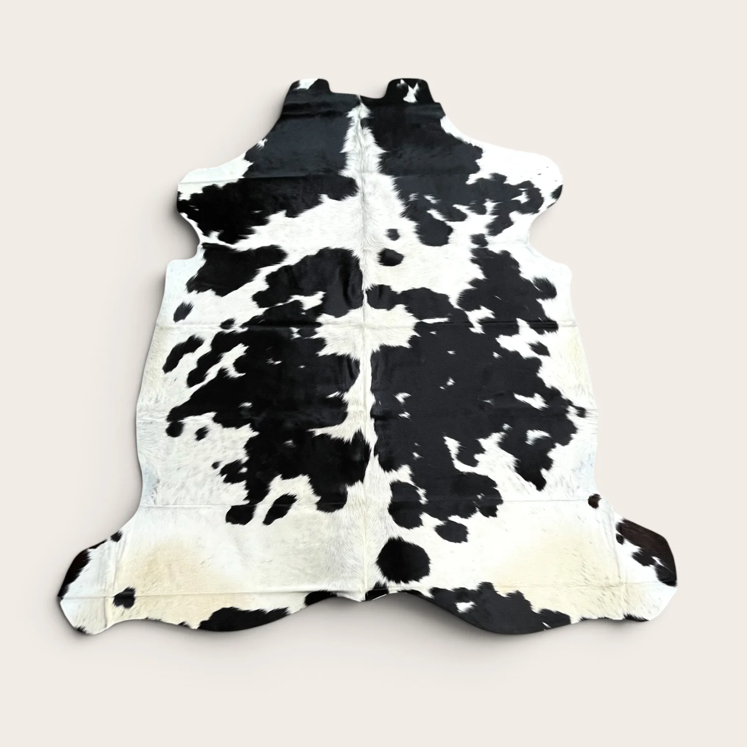6-7’ Brazilian cowhide rug (r09)