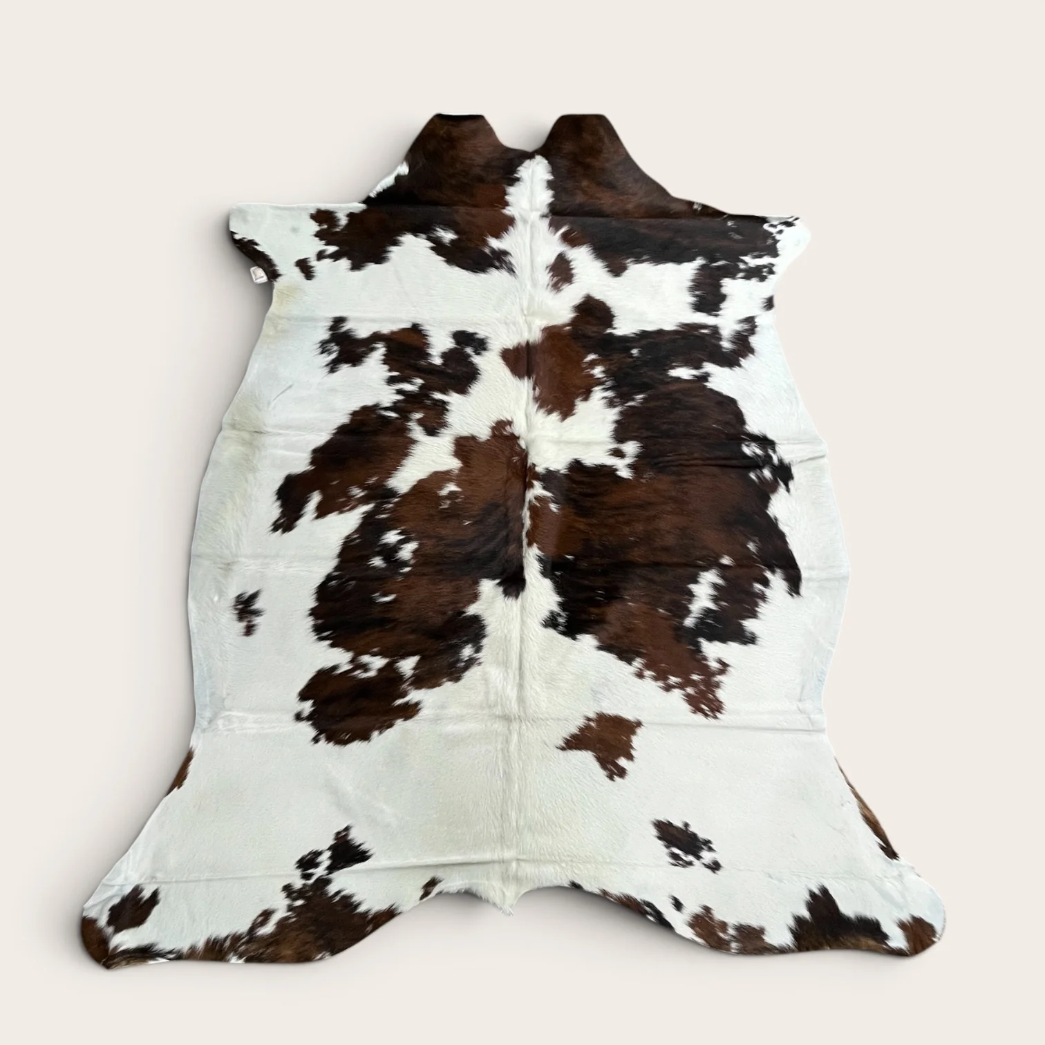 6-7’ Brazilian cowhide rug (r16)