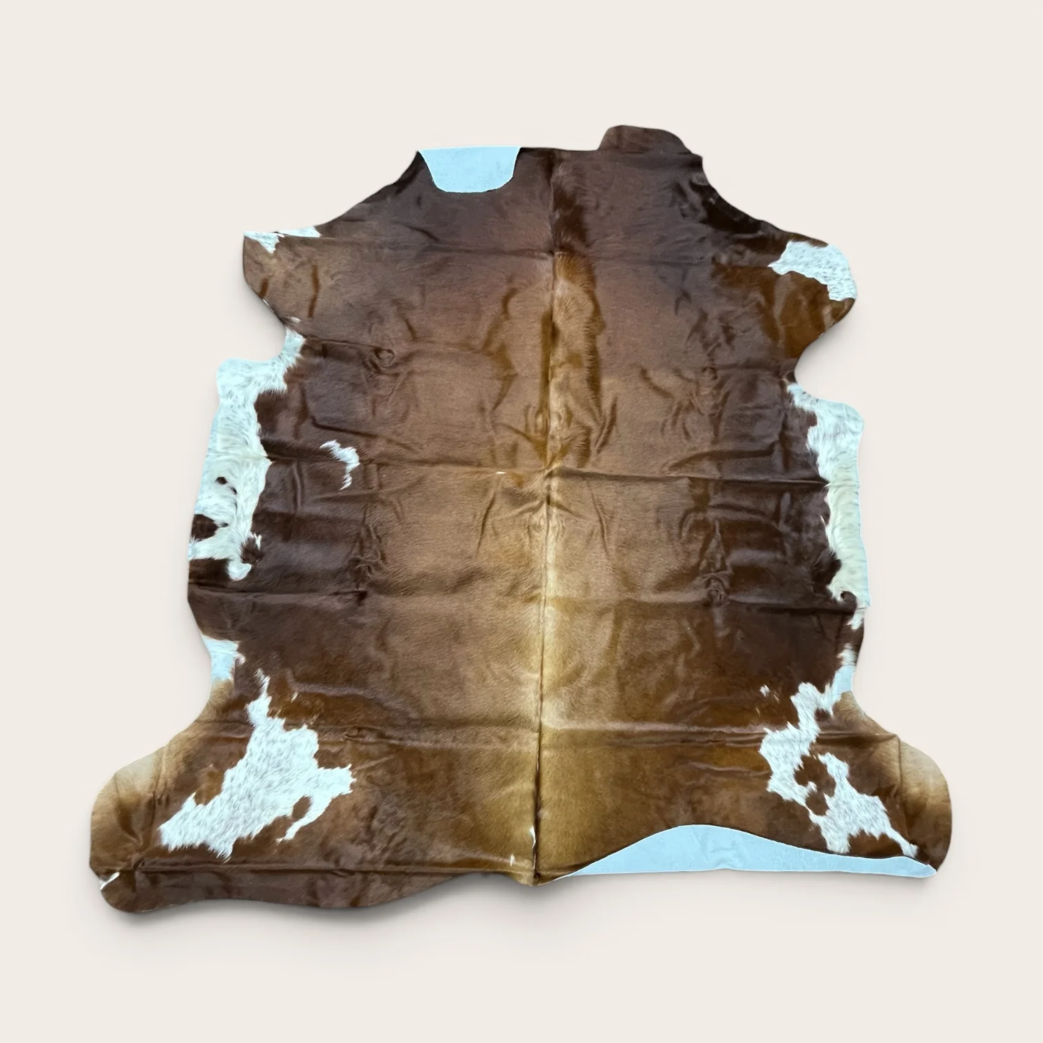 6-7’ Brazilian cowhide rug (r19)