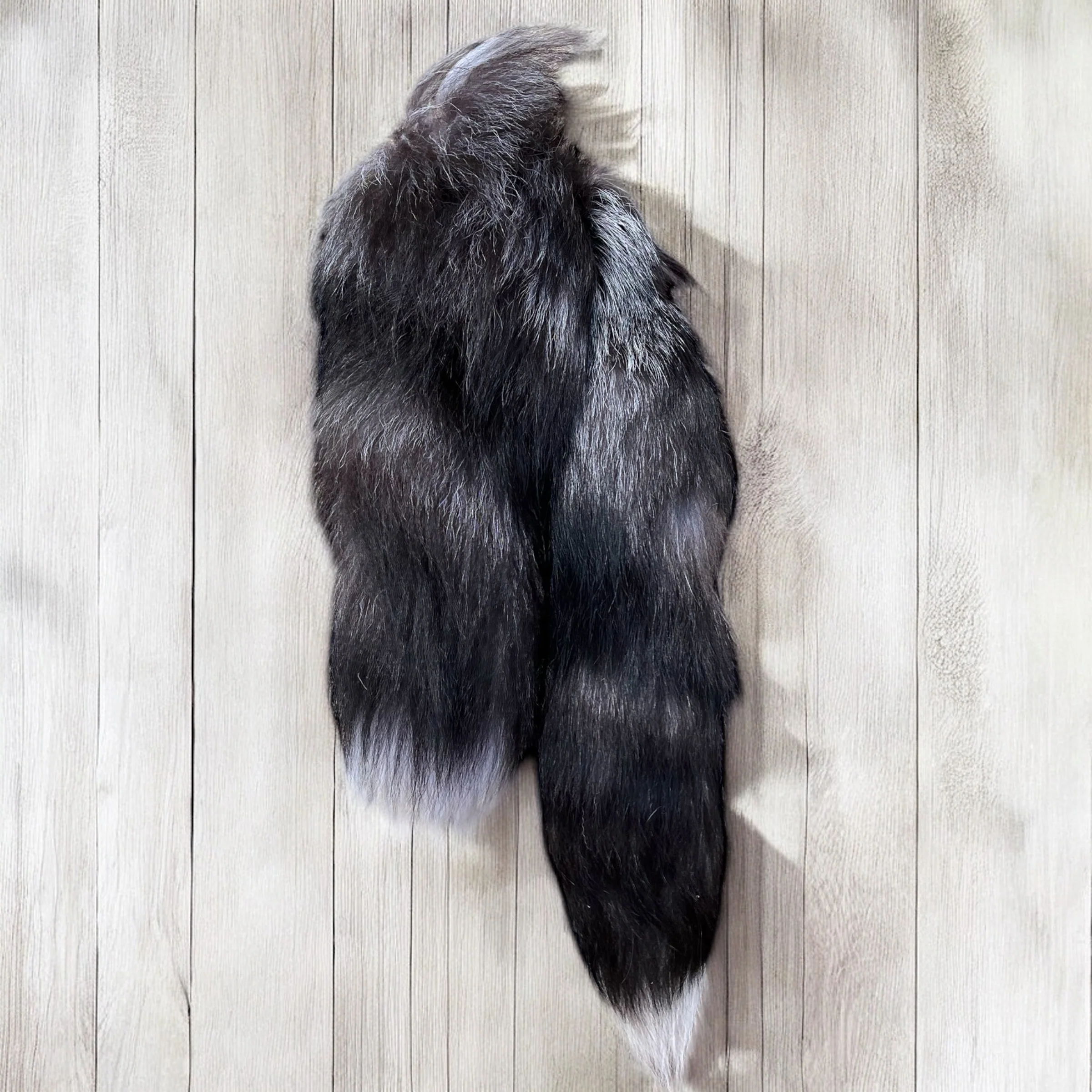 Natural silver fox tail